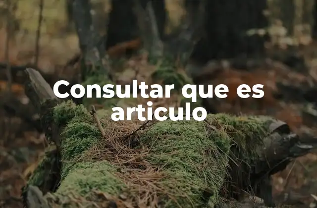 El papel del artículo en diferentes contextos