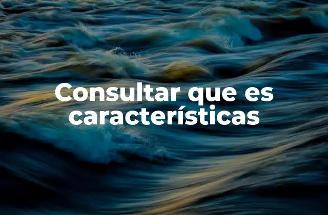 Consultar que es Características