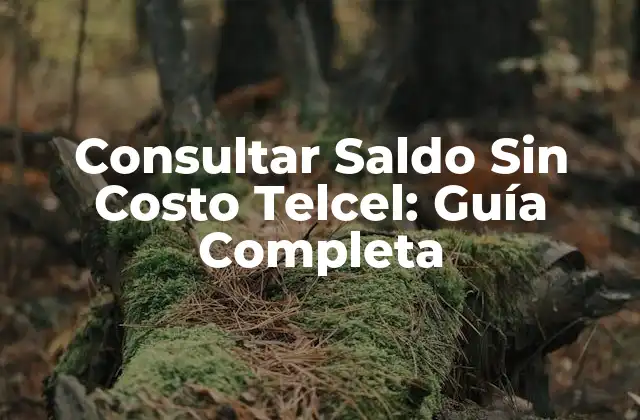 Consultar Saldo sin Costo Telcel: Guía Completa