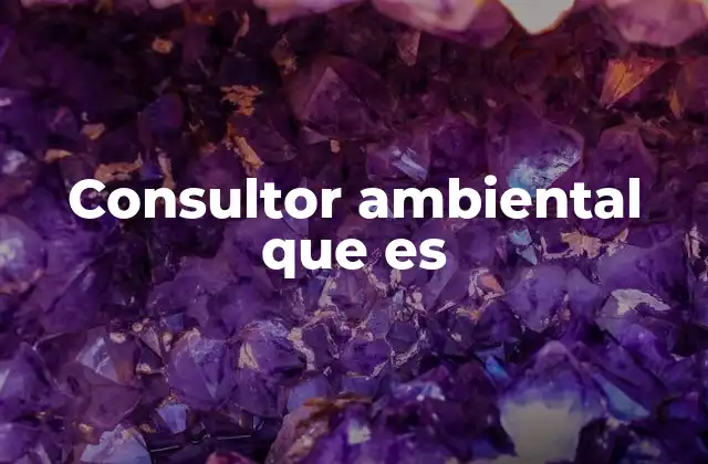 Consultor Ambiental que es