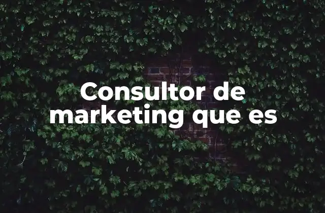 Consultor de Marketing que es