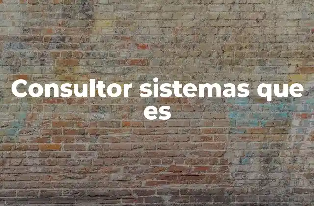 Consultor Sistemas que es