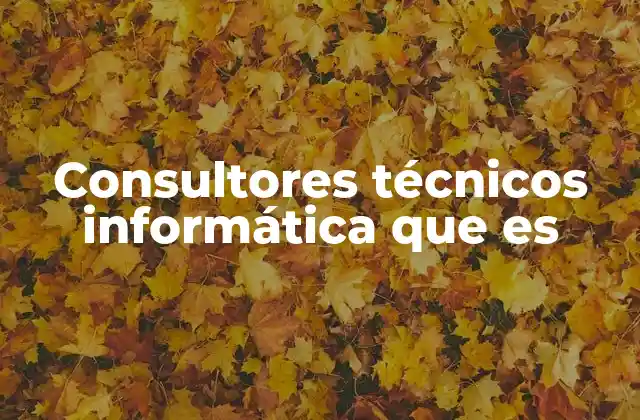 Consultores Técnicos Informática que es