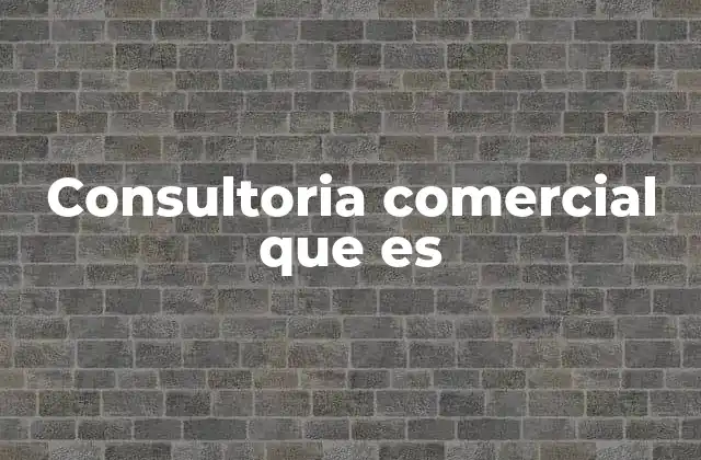 Consultoria Comercial que es