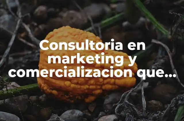 Consultoria en Marketing y Comercializacion que es