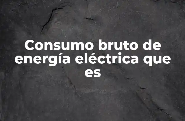 La importancia del consumo bruto en la gestión energética
