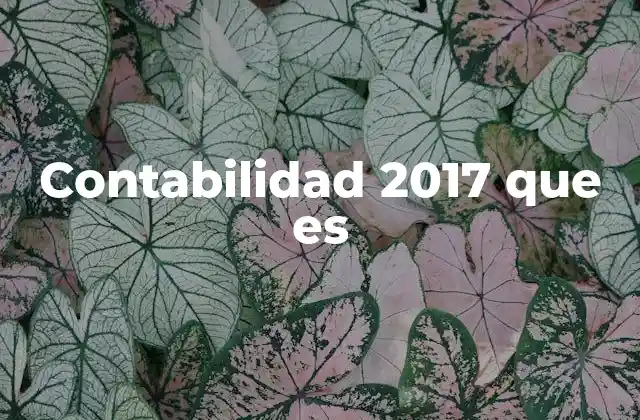 Contabilidad 2017 que es 2 Evolución de la contabilidad antes de 2017