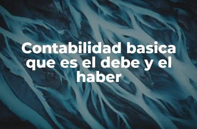 La importancia del debe y el haber en el registro contable