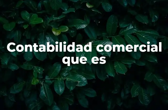 Contabilidad Comercial que es
