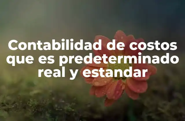 Contabilidad de Costos que es Predeterminado Real y Estandar