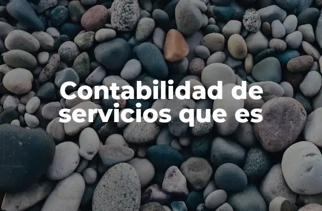 Contabilidad de Servicios que es