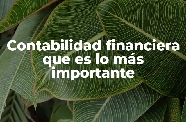 Contabilidad Financiera que es Lo Más Importante