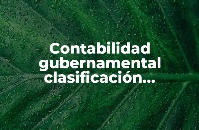 Contabilidad Gubernamental Clasificación Administrativa que es