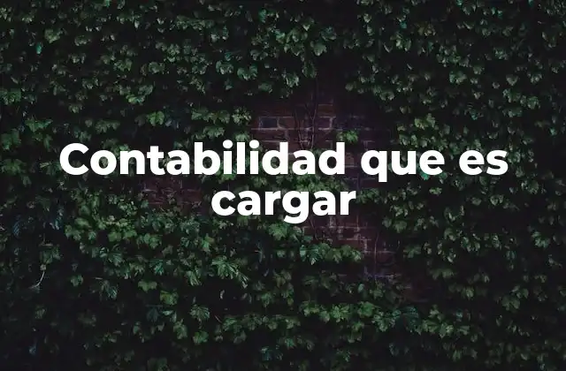 Contabilidad que es Cargar