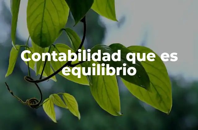 Contabilidad que es Equilibrio