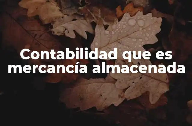Contabilidad que es Mercancía Almacenada