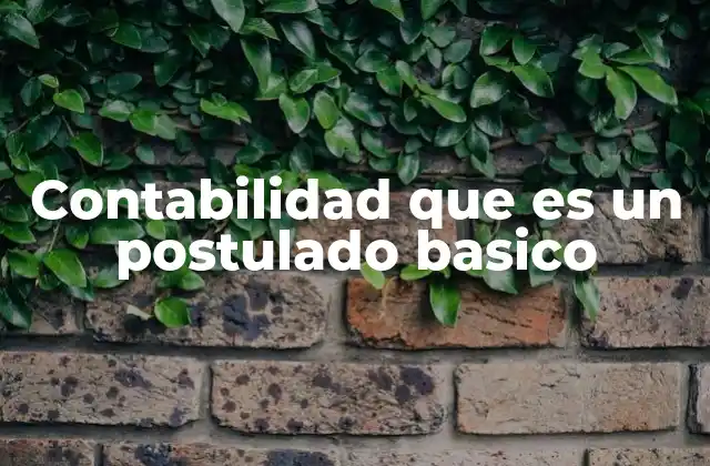 Contabilidad que es un Postulado Basico