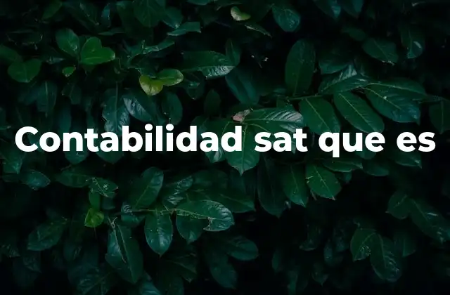 La importancia de una contabilidad alineada con el SAT
