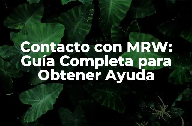 ¿Cómo Contactar con MRW por Teléfono?