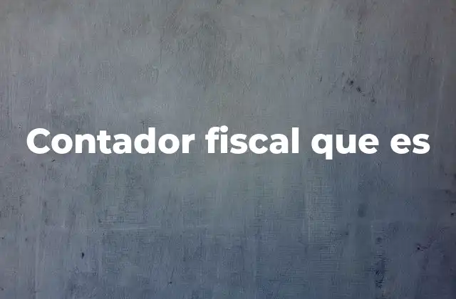 Contador Fiscal que es