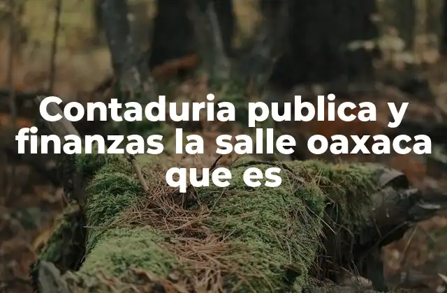 La importancia de la contaduría pública y las finanzas en el contexto educativo de Oaxaca