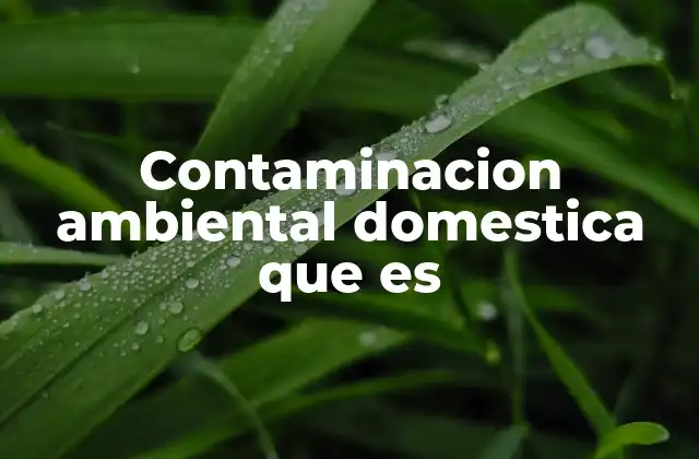 Contaminacion Ambiental Domestica que es
