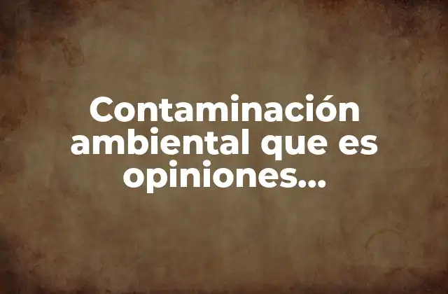 Contaminación Ambiental que es Opiniones Profesionales