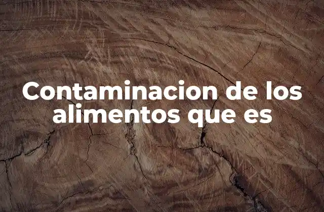 Contaminacion de los Alimentos que es