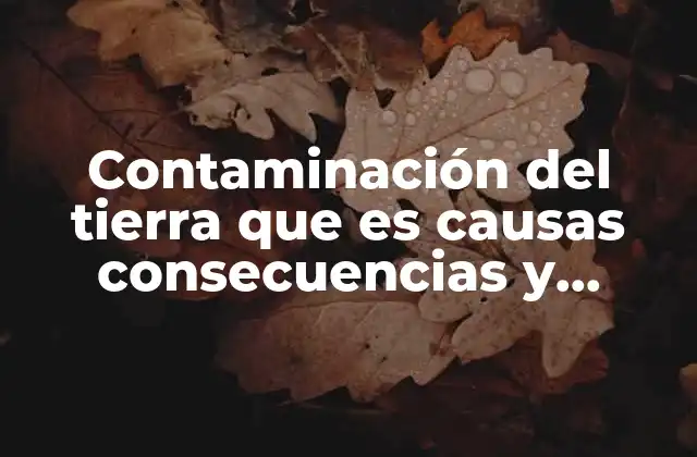 Contaminación Del Tierra que es Causas Consecuencias y Soluciones