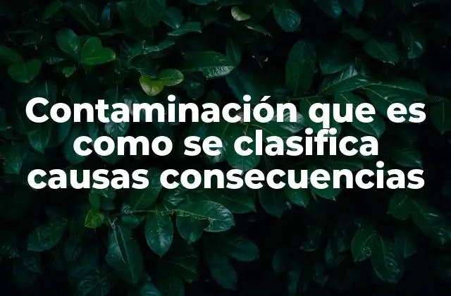 Tipos de contaminación y su impacto en el entorno