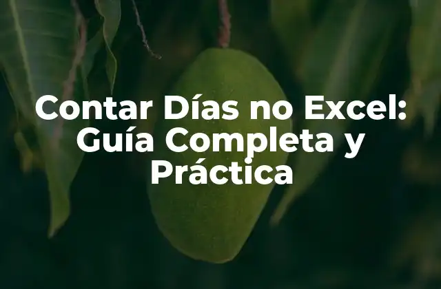 Contar Días No Excel: Guía Completa y Práctica