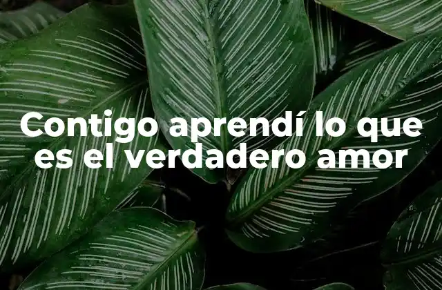 Contigo Aprendí Lo que es el Verdadero Amor
