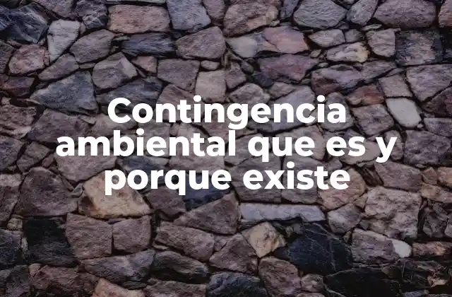 Contingencia Ambiental que es y Porque Existe