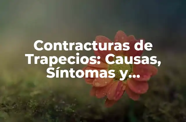 Contracturas de Trapecios: Causas, Síntomas y Tratamientos