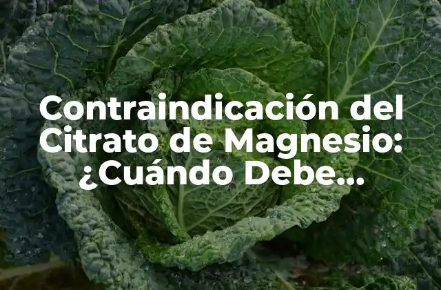 Contraindicaciones Comunes del Citrato de Magnesio