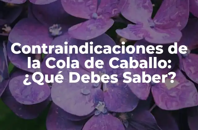 Contraindicaciones de la Cola de Caballo: ¿qué Debes Saber? 2 Contraindicaciones Generales de la Cola de Caballo
