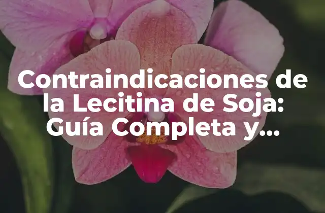Contraindicaciones de la Lecitina de Soja: Guía Completa y Detallada