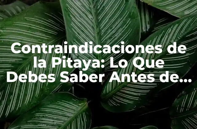 Contraindicaciones de la Pitaya: Lo que Debes Saber Antes de Consumirla