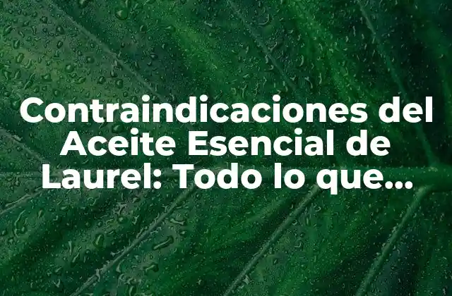 Contraindicaciones Del Aceite Esencial de Laurel: Todo Lo que Debes Saber