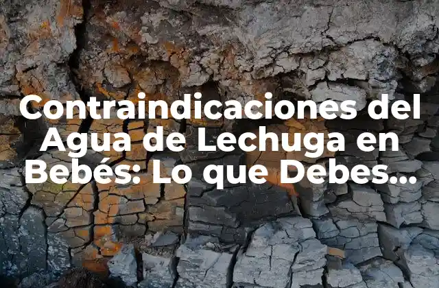 Contraindicaciones Del Agua de Lechuga en Bebés: Lo que Debes Saber