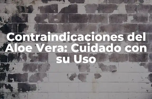 ¿Qué son las Contraindicaciones del Aloe Vera?