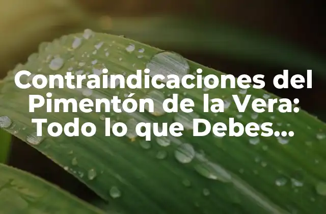 Contraindicaciones Del Pimentón de la Vera: Todo Lo que Debes Saber