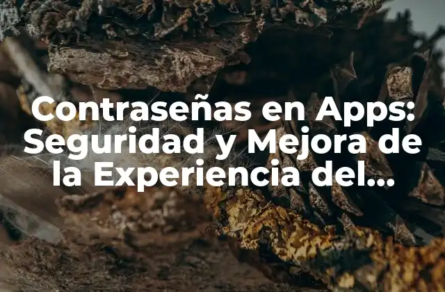 Contraseñas en Apps: Seguridad y Mejora de la Experiencia Del Usuario