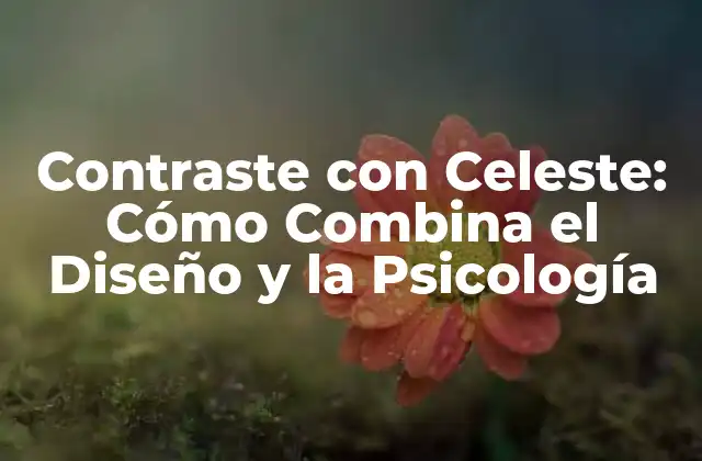 Contraste con Celeste: Cómo Combina el Diseño y la Psicología