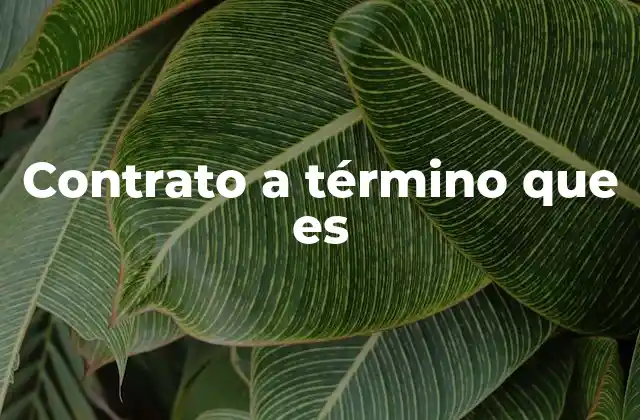 Contrato a Término que es