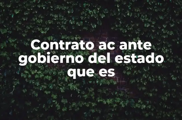 Contrato Ac ante Gobierno Del Estado que es
