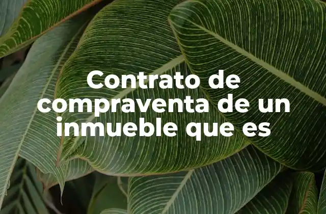 El papel de los contratos en las transacciones inmobiliarias