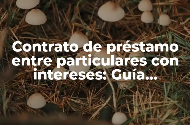 Contrato de Préstamo entre Particulares con Intereses: Guía Detallada y Completa