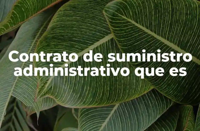 Contrato de Suministro Administrativo que es 2 Características de los contratos de suministro en el ámbito público