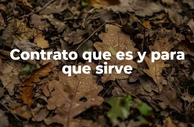 Contrato que es y para que Sirve